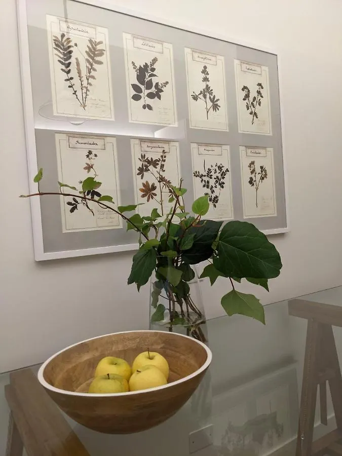 Magnifica Vittorio Veneto Apartment